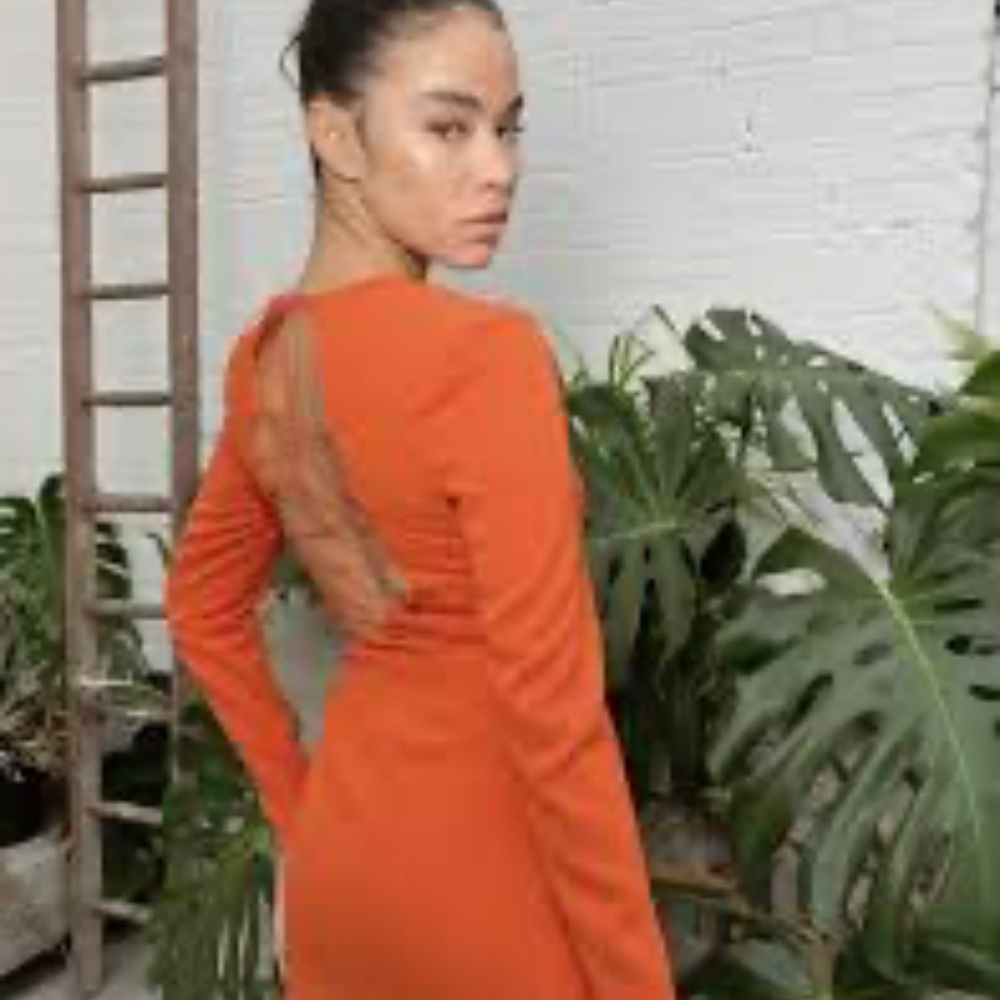 Chic Long Sleeve Orange Dress
